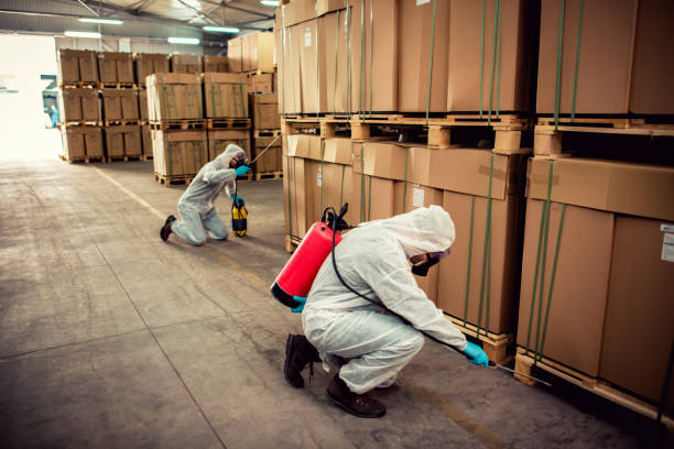 Best Best Pest Control Companies  in Ionia, MI