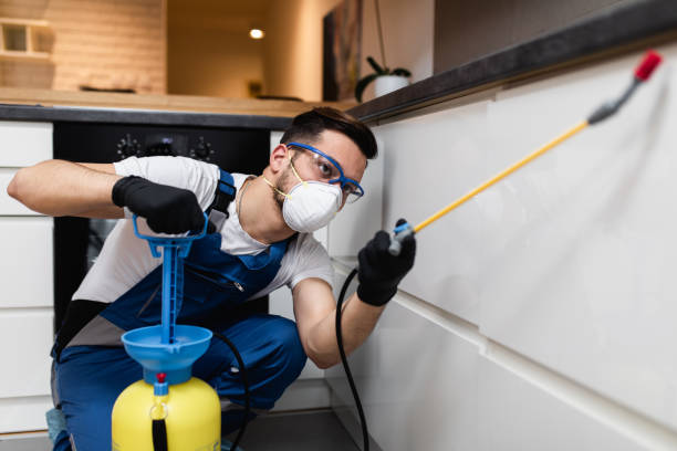 Flea Control Services in Ionia, MI