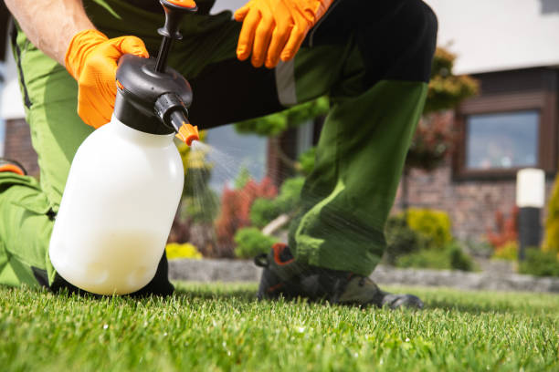 Best Pest Control Near Me  in Ionia, MI