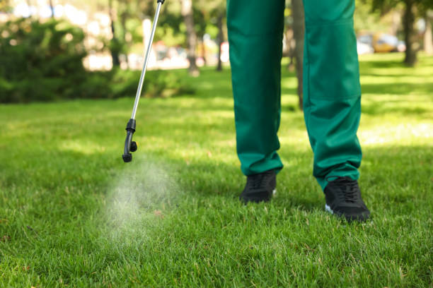 Best Affordable Pest Control Services  in Ionia, MI
