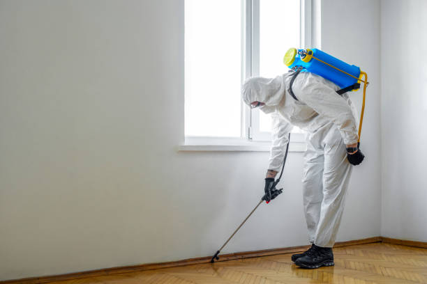 Best Local Pest Control Services  in Ionia, MI
