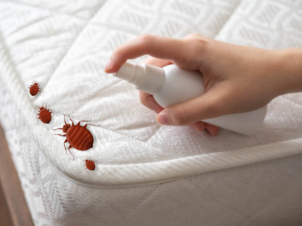 Best Wildlife Control Services  in Ionia, MI