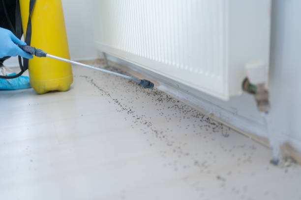 Best Cockroach Control Services  in Ionia, MI