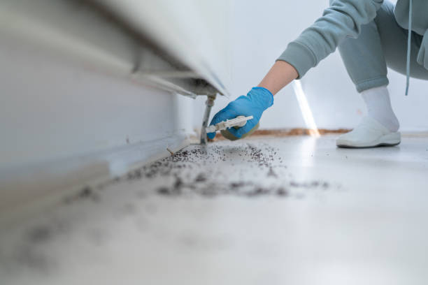 Best Pest Control for Homes  in Ionia, MI