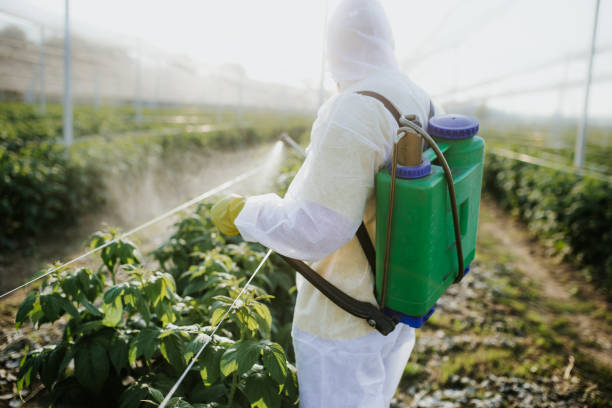 Best Pest Control Treatment  in Ionia, MI